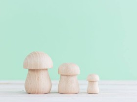 Wooden mushrooms 3 sizes Ref.CC105