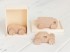 Set 3 mini wooden cars Ref.CCJD81