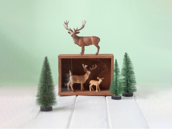 Aged pine wood box 18x12.5x6.5 with Methacrylate lid Ref.PF1015TM