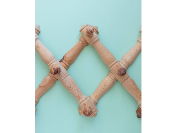 Extendable hanger 10 hangers Ref.900