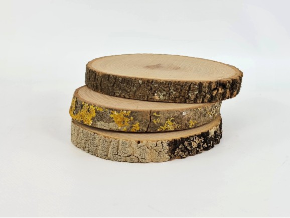 Wood slice with bark Ø14-16 cm. Ref.MO11407