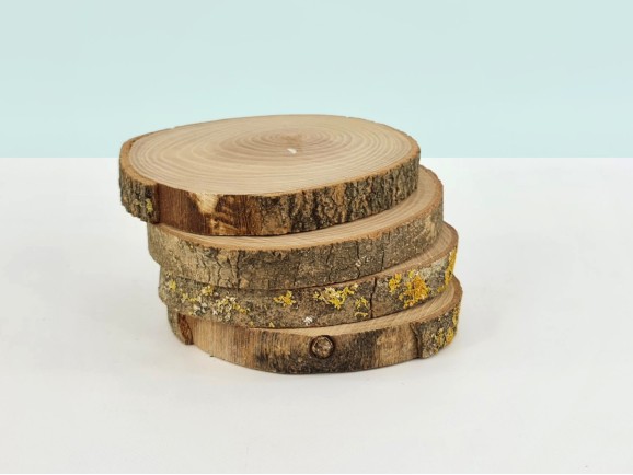 Wood slice with bark Ø14-16 cm. Ref.MO11407