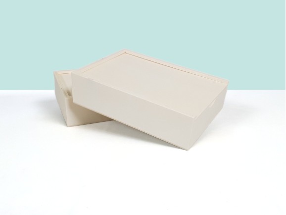 Caja fotos 10x15 c/división Ref.P1454C4