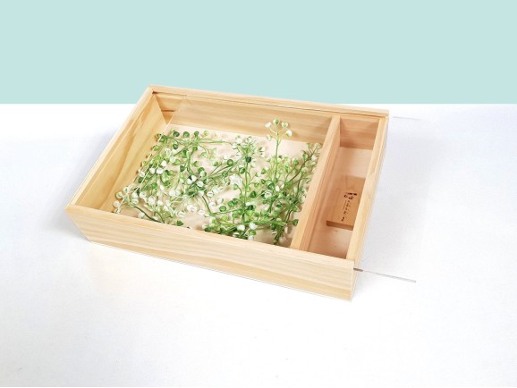 Caja para fotógrafos c/Tapa Metacrilato Ref.P1454DM