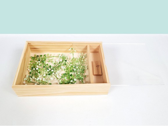 Caja para fotógrafos c/Tapa Metacrilato Ref.P1454DM