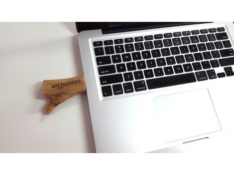 Wooden usb stick
