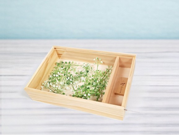 Caja de madera para fotógrafos c/tapa metacrilato Ref.P1454DM