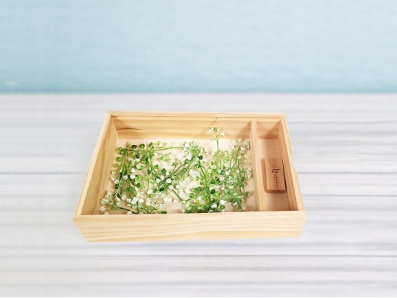 Caja para fotógrafos c/Tapa Metacrilato Ref.P1454DM