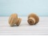 Beech and oak knob handle Ø4 cm. with nut Ref.14