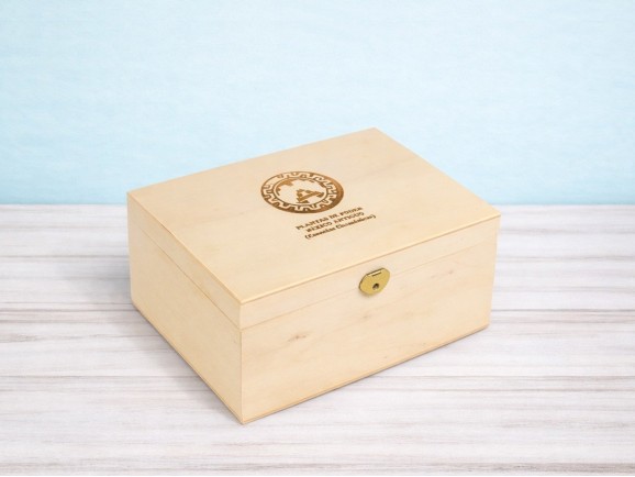 Caja de madera 22x15x11 cm. c/bisagra y broche Ref.P00CF1S