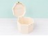 Caja de madera octogonal 25x25x19 cm. c/bisagra y broche Ref.AR11501