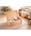 Large storage box 60x40x23 cm. with lid and handles Ref.DRSD260