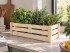 Caja Fruta Natural 40x16x12,5 cm. Ref.DRSN103