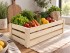 Natural Fruit Box 40x16x12.5 cm. Ref.DRSN103