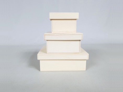 Square box with lid Ref.P00C20