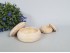 Pine Round box with lid Ref. P1971