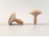 Beech mushroom handle Ø4.5 cm. with spike Ref.13