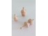 Wood profile finish 3 measures Ref.392