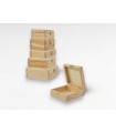 Wooden box with hinge and clasp various sizes Ref.P35C61