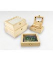 Wooden box with glass lid various sizes Ref.P119
