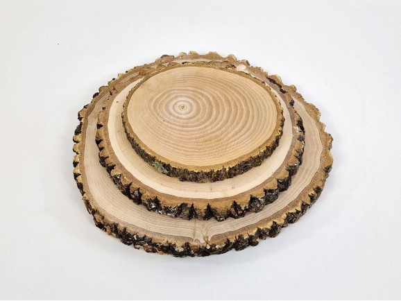 Rodaja de madera natural 100% Ref.MO1223